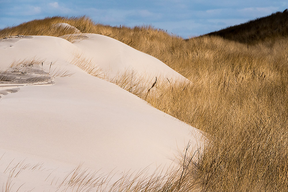 Sand oder Schnee?