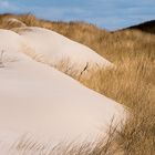 Sand oder Schnee?