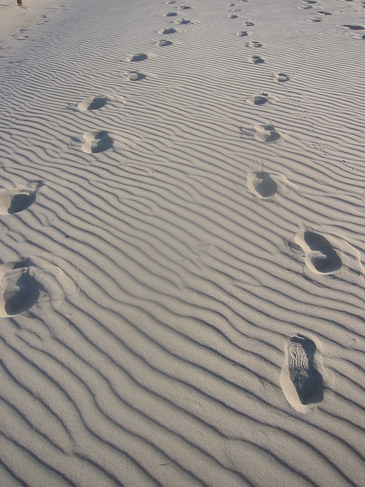 sand on texel