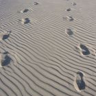 sand on texel