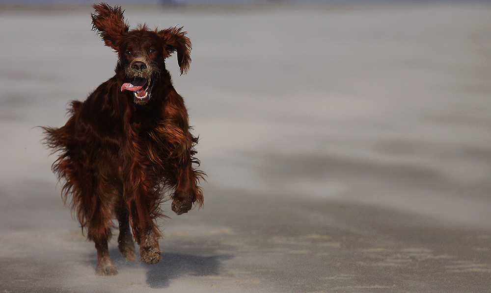 Sand Prinzessin