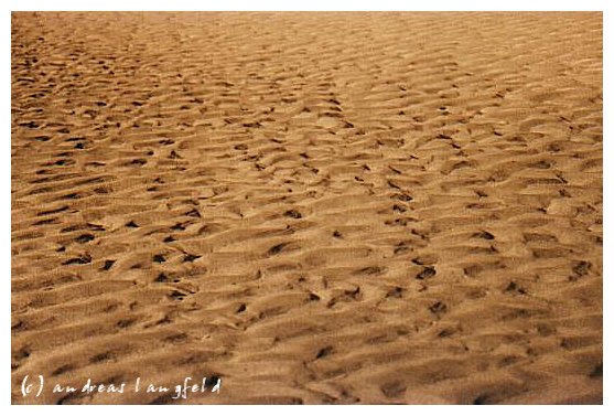 sand sand und nochmals sand.... rennesse ...in den niederlanden