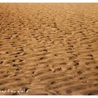 sand sand und nochmals sand.... rennesse ...in den niederlanden