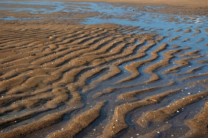 Sand & Sea