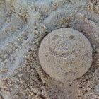 Sand-Smiley