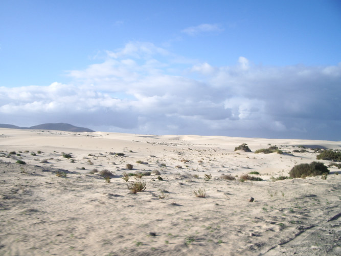 Sand soweit das Auge reicht