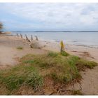 Sand, Stein, Holz & Wasser