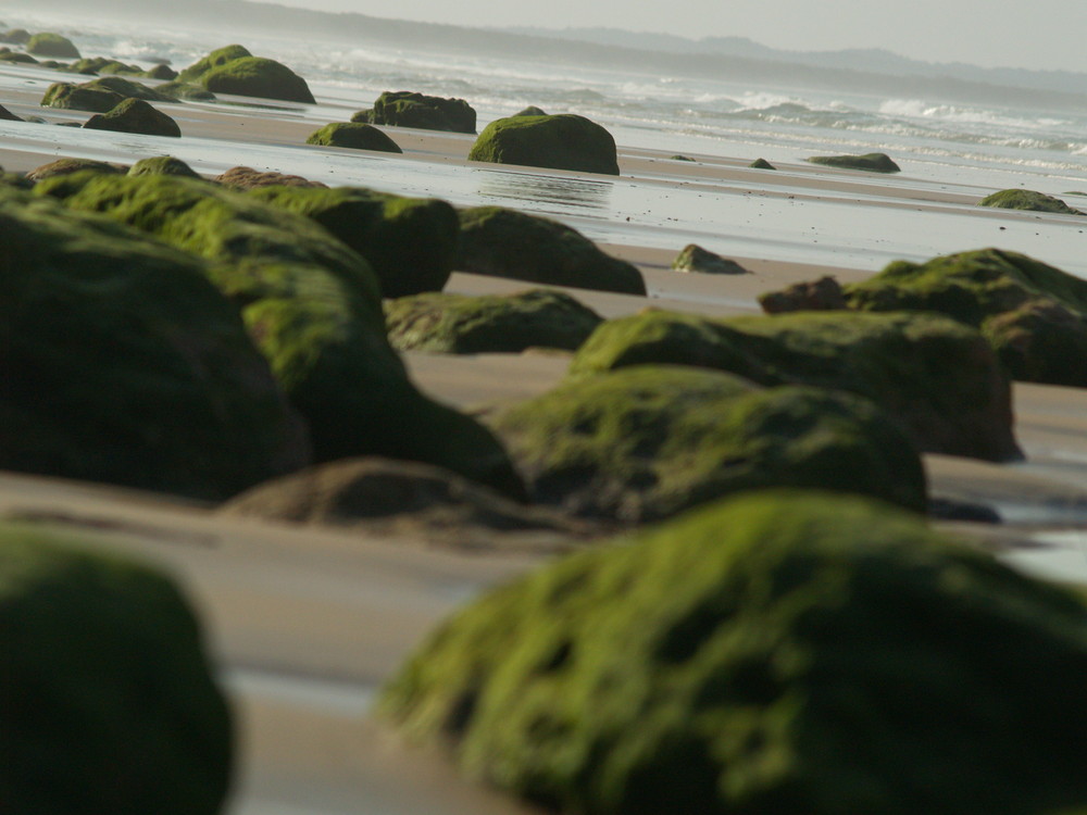 Sand, Strand, Steine, Meer...