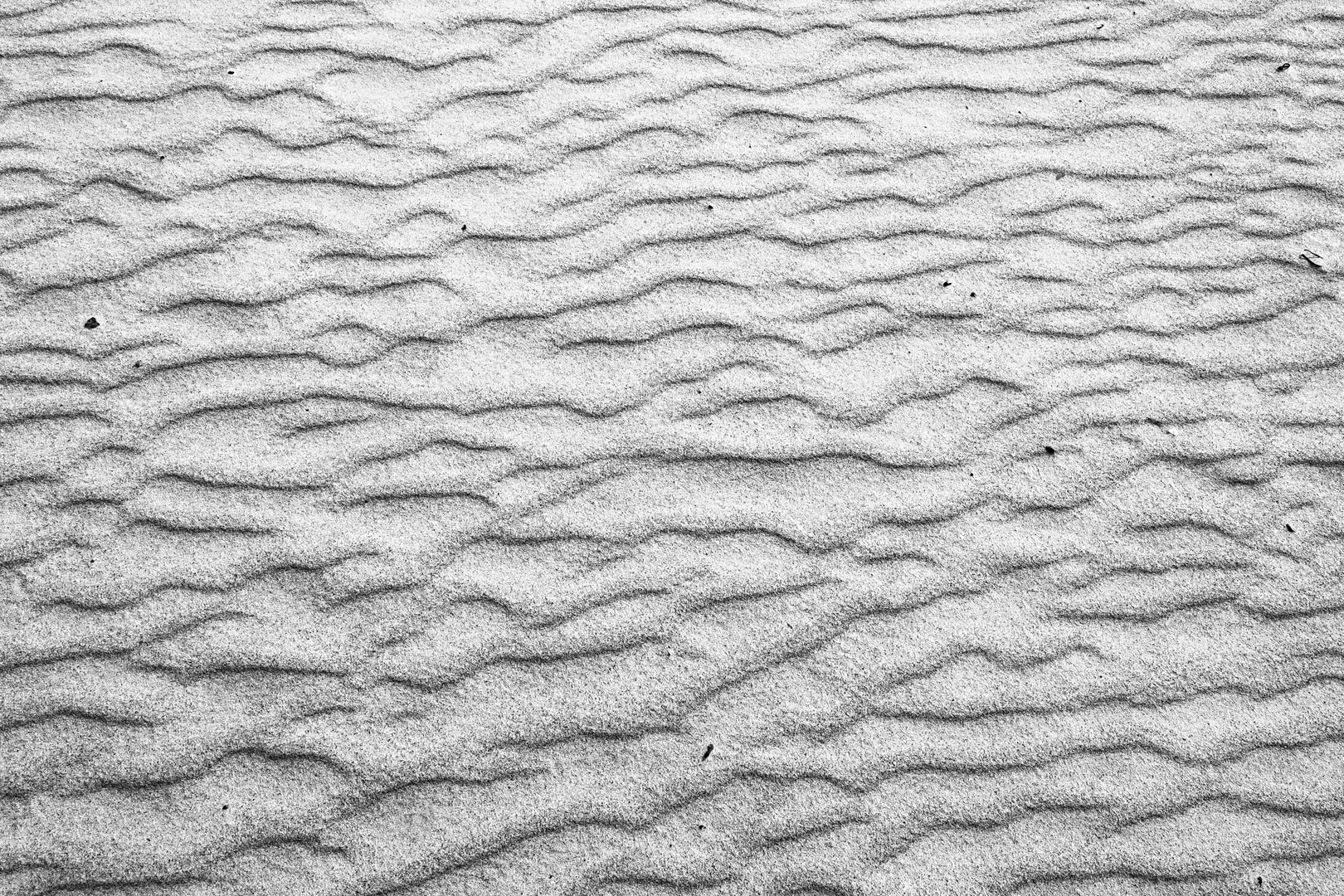 Sand - Strand - Wind - Gemälde