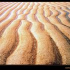 sand structures