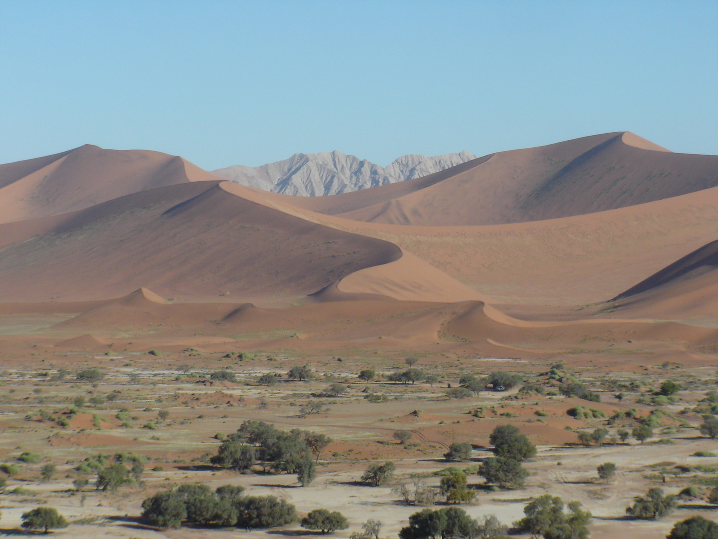 Sand über Sand - Namib Wüste