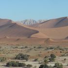 Sand über Sand - Namib Wüste