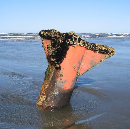 Sand Uncovered