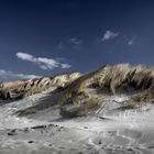 Sand und Dünen