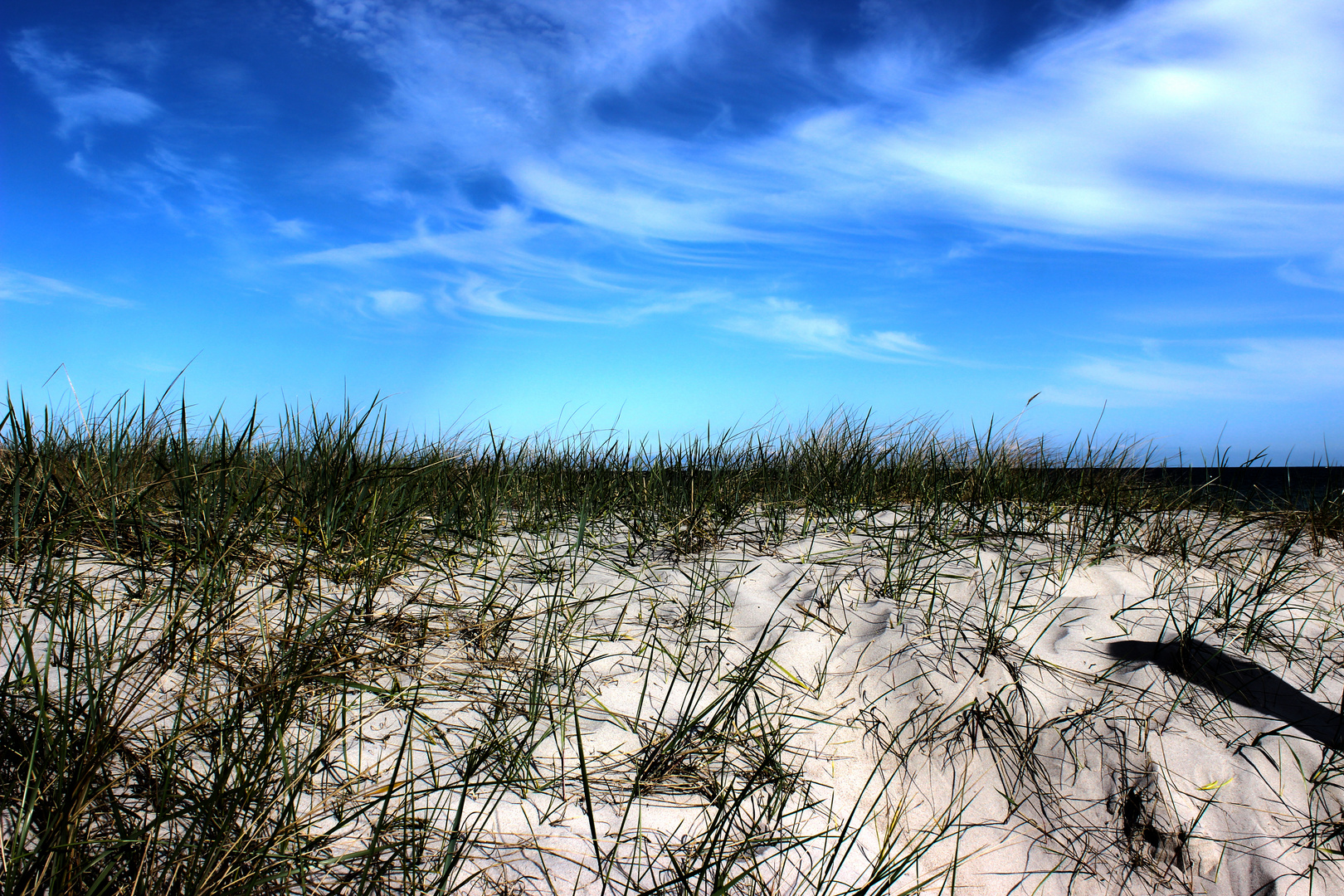 Sand und Gräser