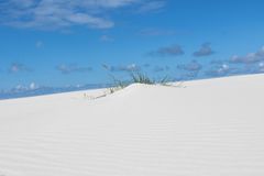 Sand und Gras....