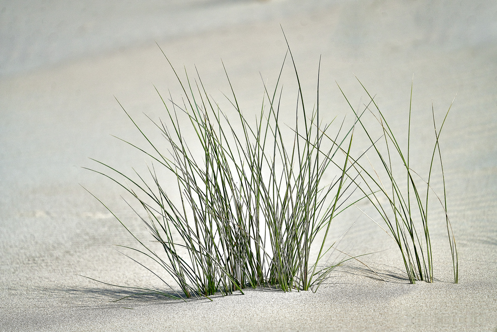 Sand und Gras, sonst nichts