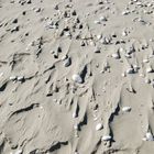 Sand und Muscheln 3