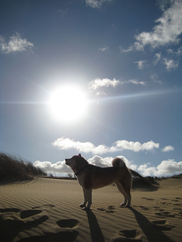 Sand und Sonne