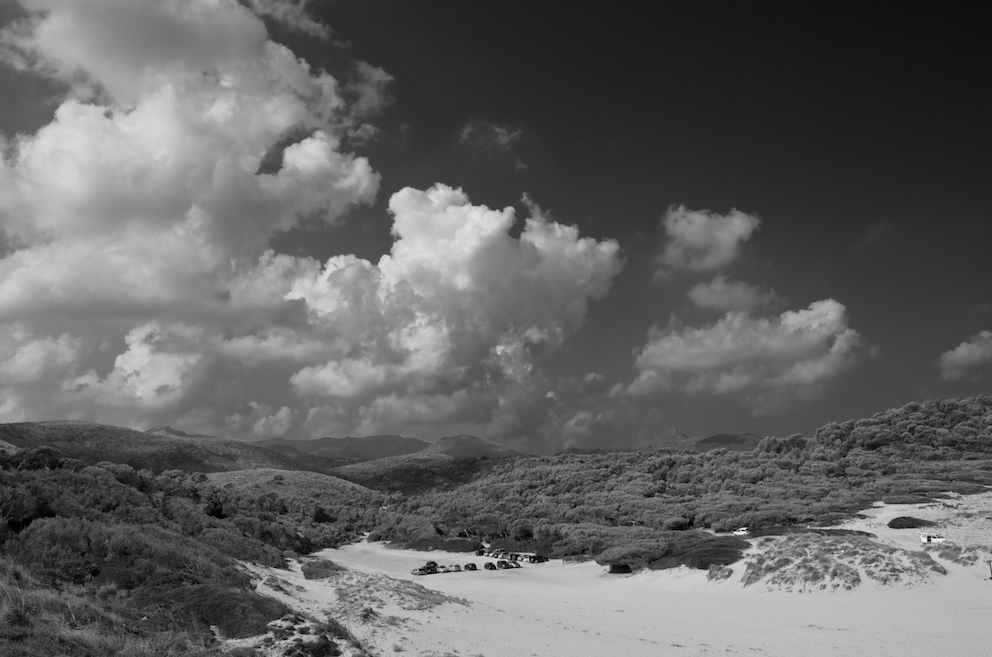 Sand und Wald