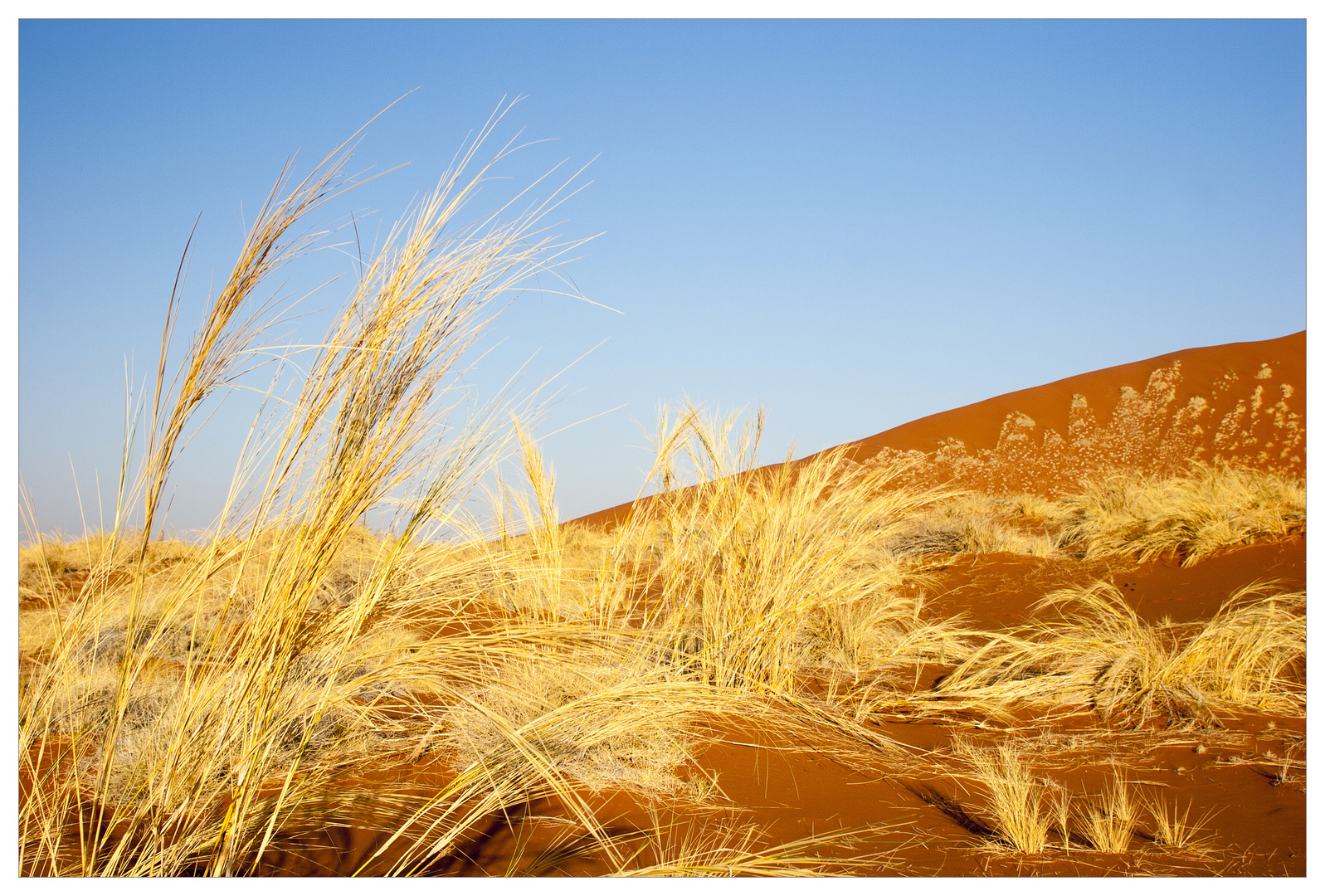 Sand und Wind