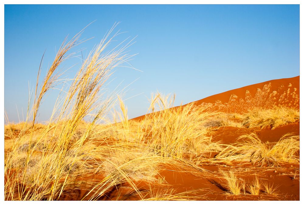 Sand und Wind