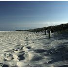 Sand Vs. Düne