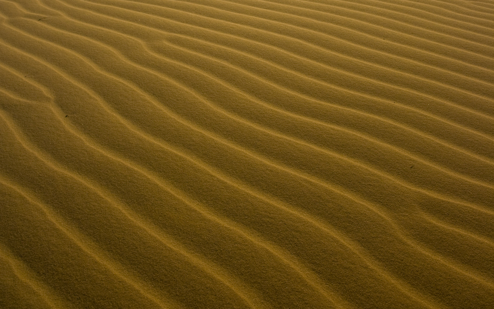 Sand Waves