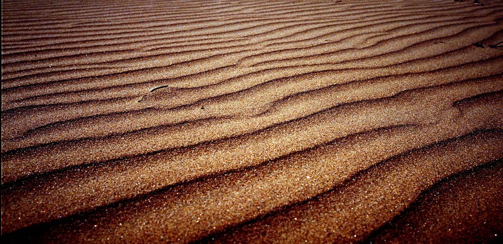 Sand Waves