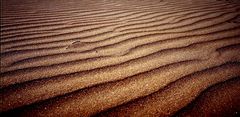 Sand Waves