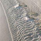 Sand-Wind-Wasser, der geheime Künstlerbund des Strandes I.