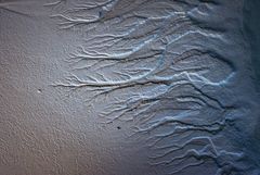 Sandadern