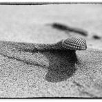 Sandart