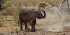 Sandbaden macht auch den jüngeren Spaß