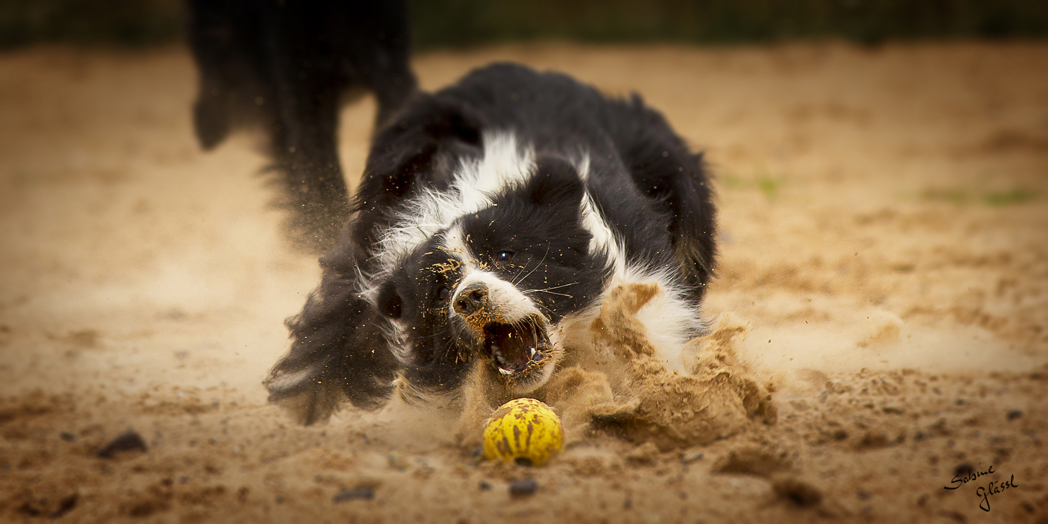 "Sandball"