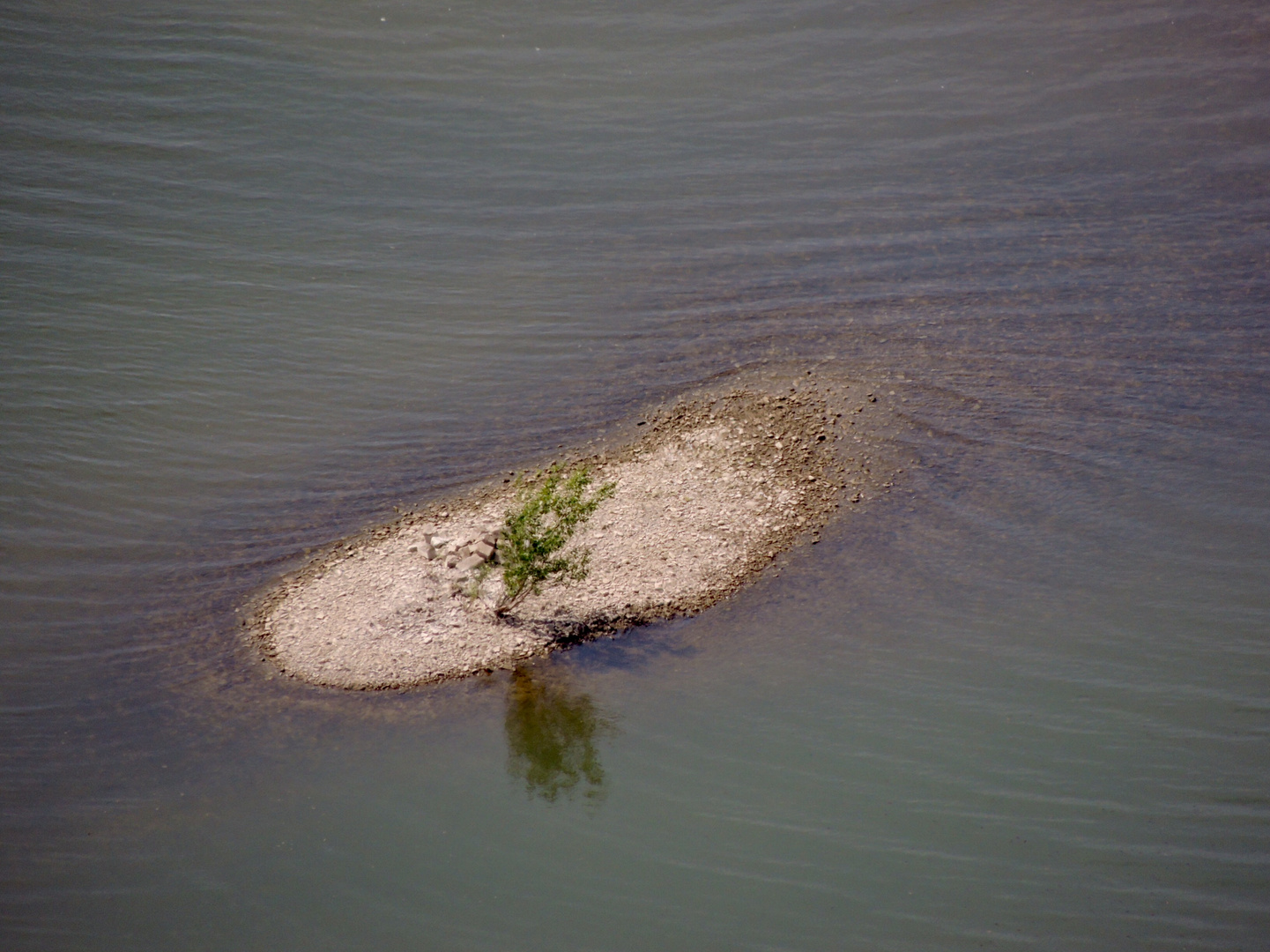 Sandbank 