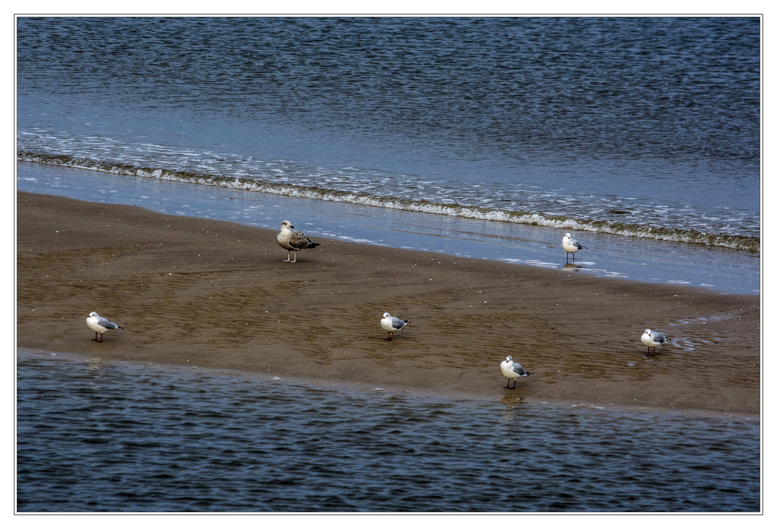 Sandbank