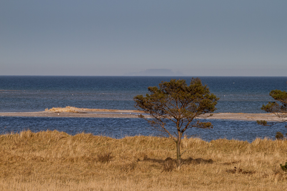 "Sandbank"