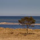 "Sandbank"