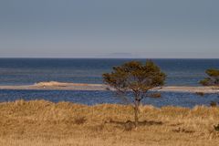 "Sandbank"