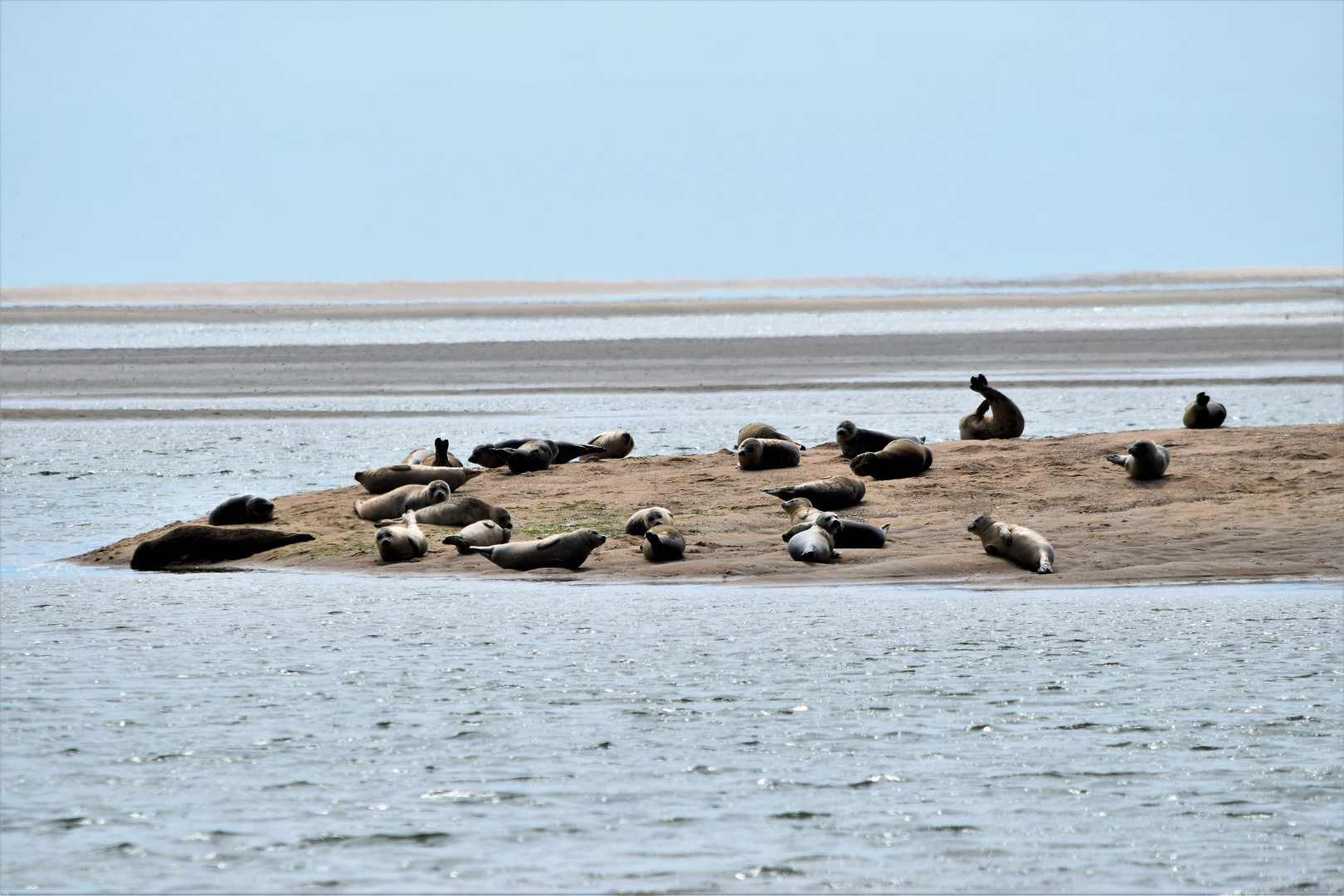 Sandbank mit Gästen