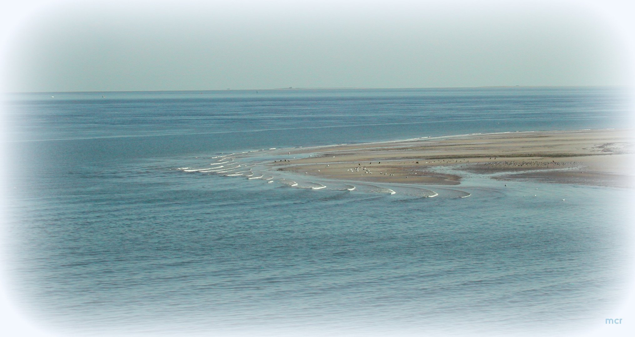 Sandbank vor AMRUM...