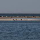 Sandbank vor Borkum