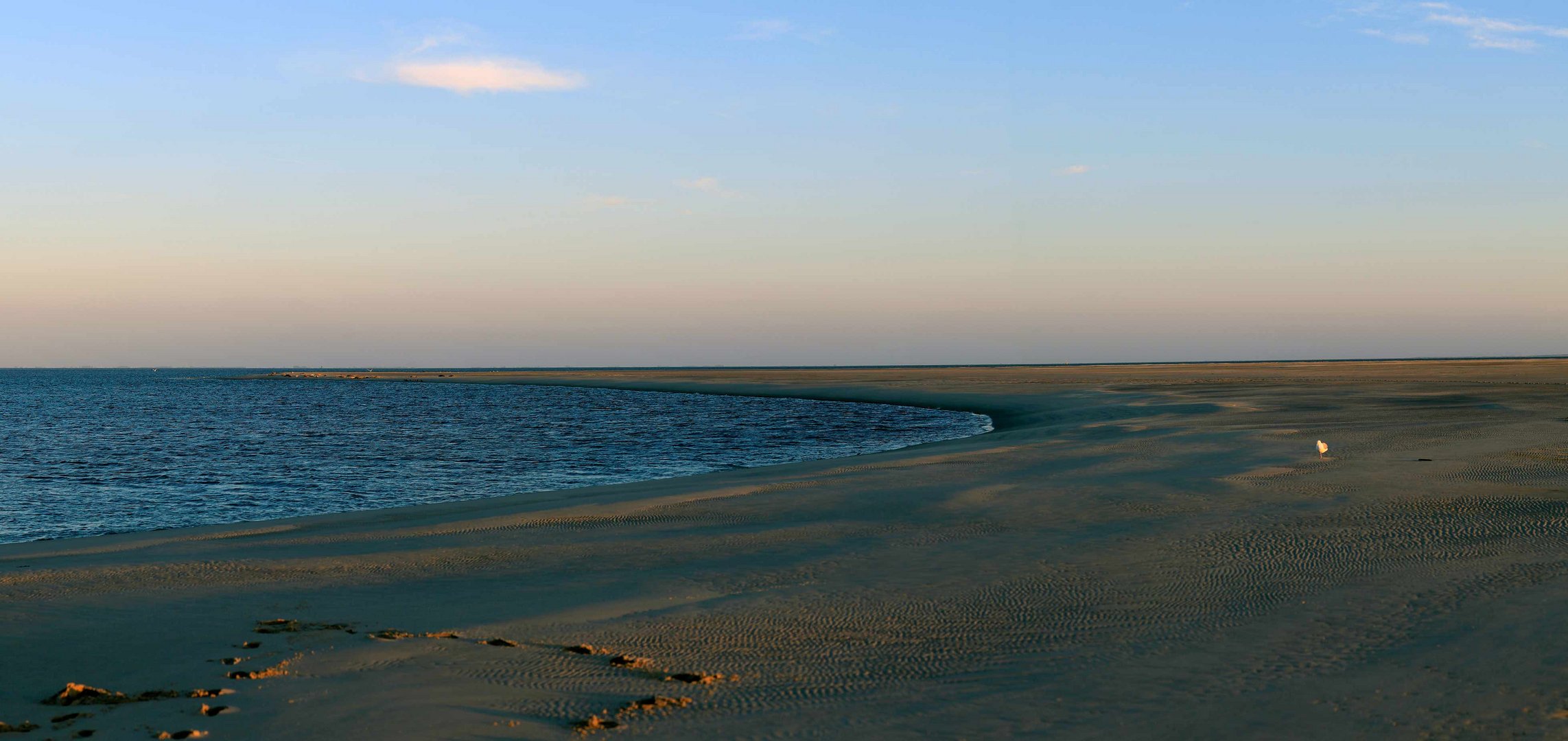 Sandbank vor Borkum - Naturschutzgebiet