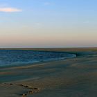 Sandbank vor Borkum - Naturschutzgebiet