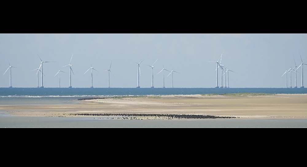 Sandbank vor Dänemark