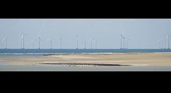 Sandbank vor Dänemark