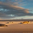 Sandbank vor Föhr 