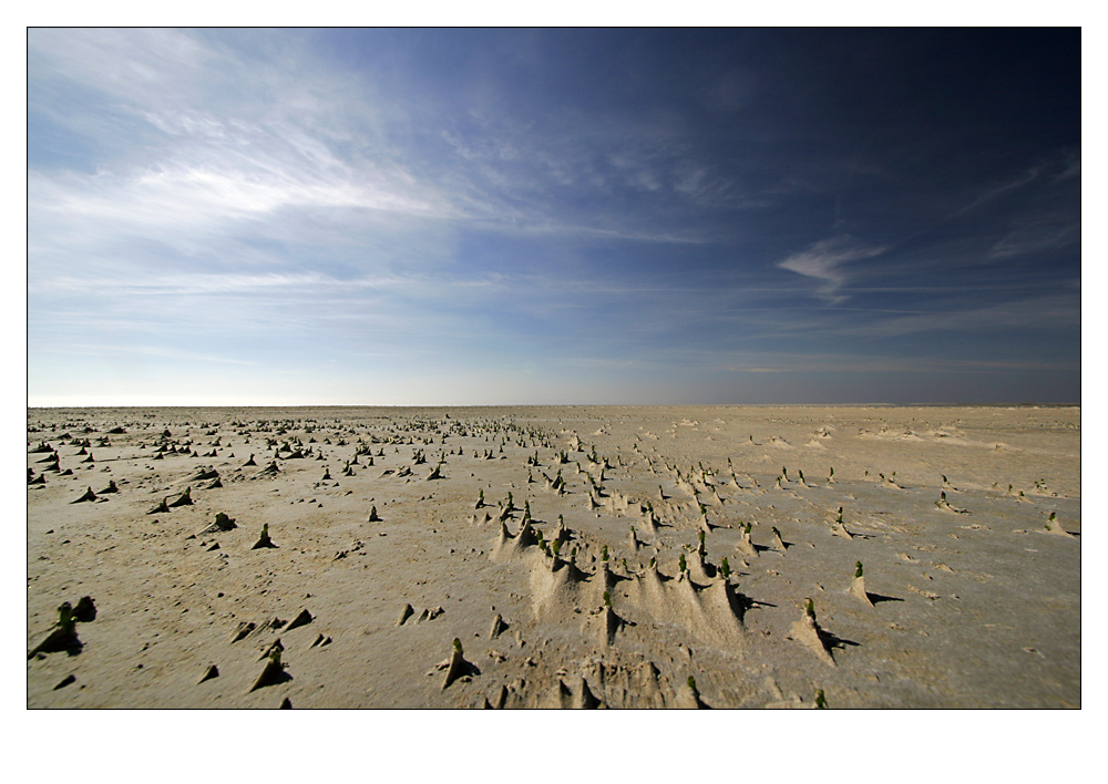 Sandbank vor St.Peter-Ording II