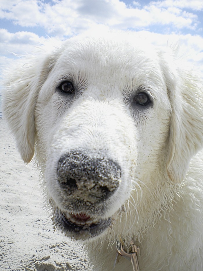 SAND(B)ENGELCHEN